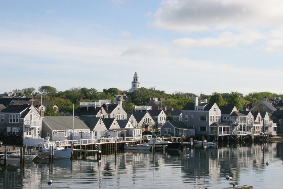 Houses and businesses in the harbor